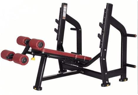 Decline Bench Luxury Prof VG