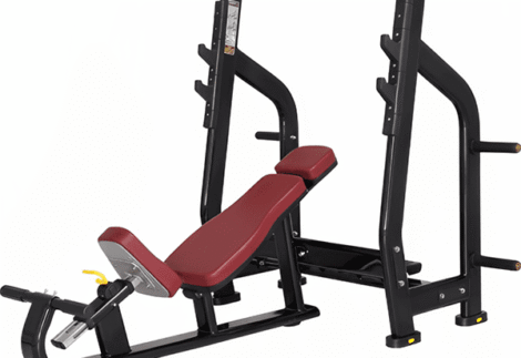 Incline Bench Luxury Prof VG