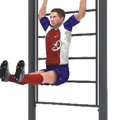 Outdoor Wall Bars Vertical Ladder heavy duty