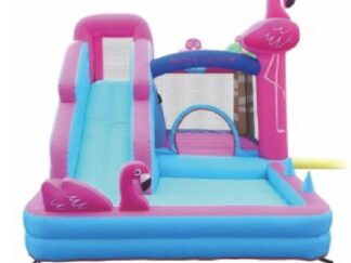 Inflatable Play Center with Water Slide - Kiddie Pool for Garden - Size: 315×270×235 cm
