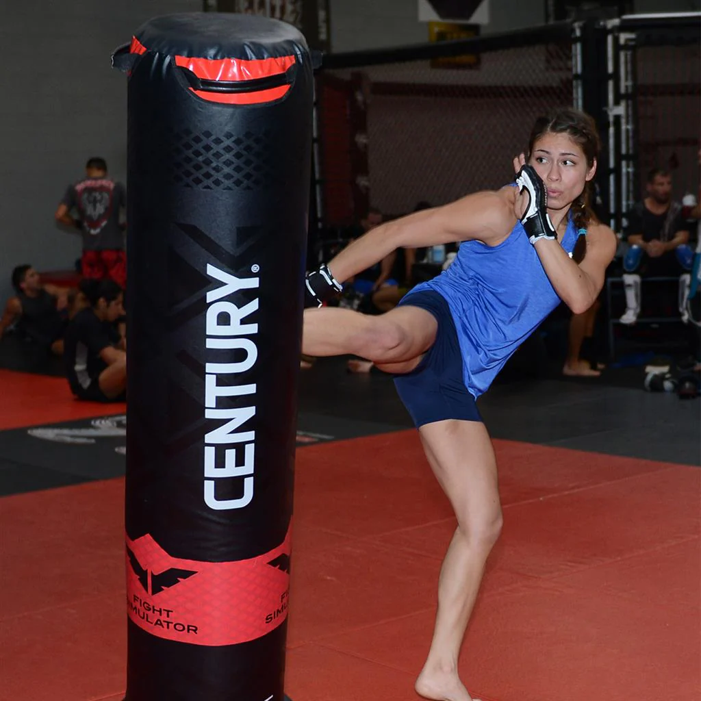 VERSYS V SPAR 1 Punching Bag - Image 4