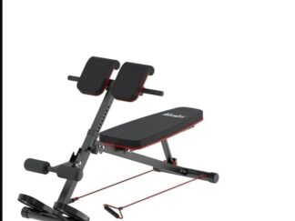 VG dumbbell bench & roman chiar