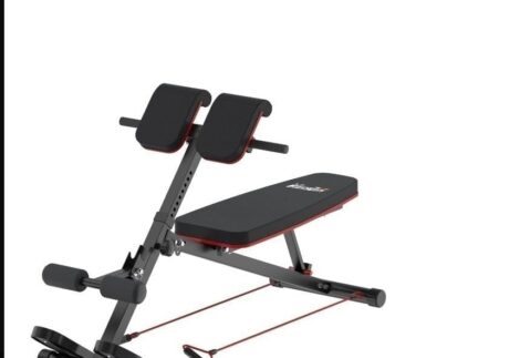 VG dumbbell bench & roman chiar