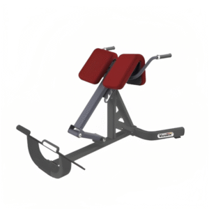 VG ROMAN CHAIR PROF-