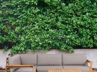 L-Wood Sofa