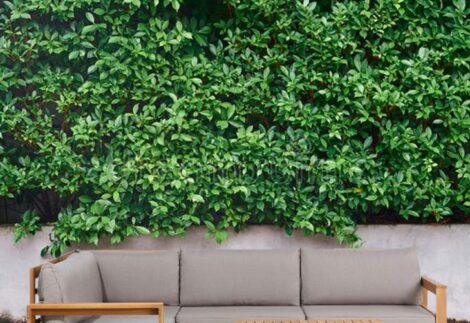 L-Wood Sofa