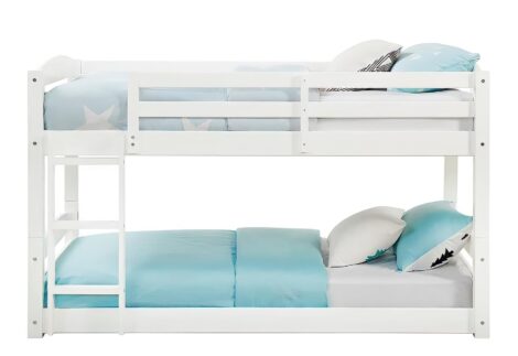 Bunk bed with  ladder