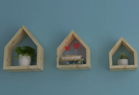 Wooden House Wall Shelves