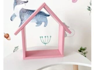 Wooden House-Shaped Wall Shelf