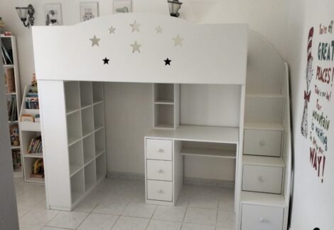 Loft bed with desk and shelves underneath