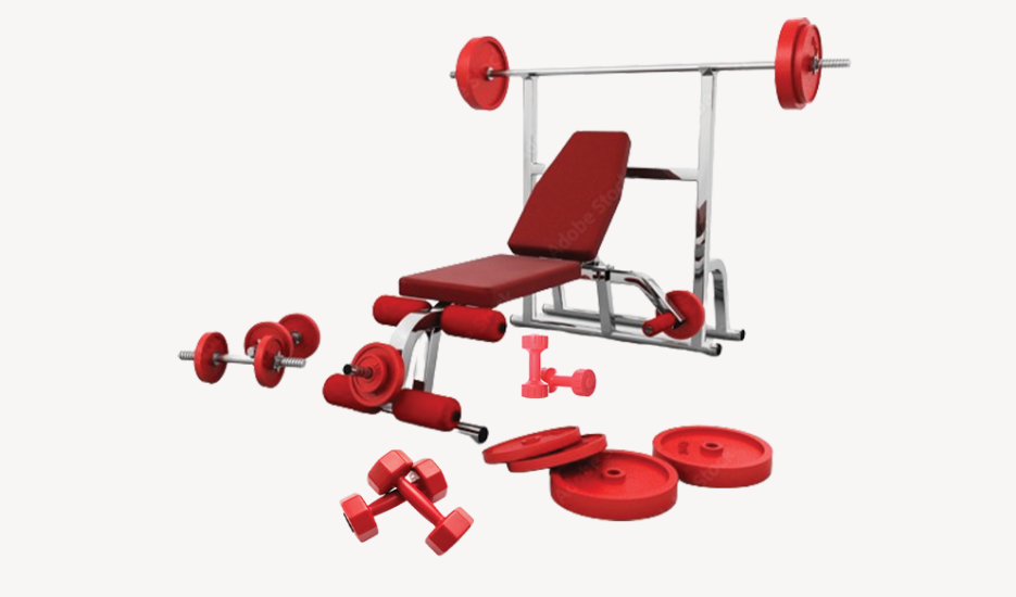 The Ultimate Guide to Gym Equipment