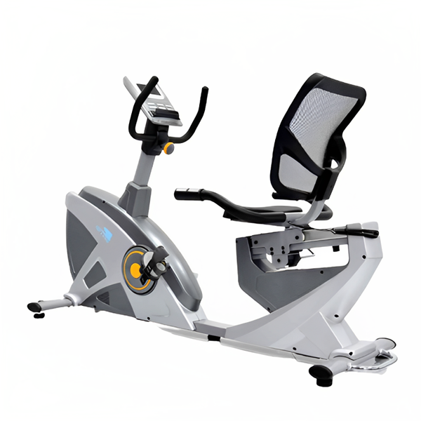 Recumbent Bike