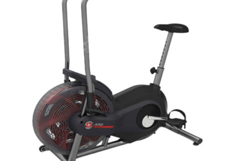 Schwinn Airdyne AD2i Bike