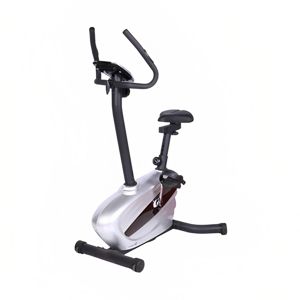 Proteus Magnetic Upright Cycle v5 Heavy