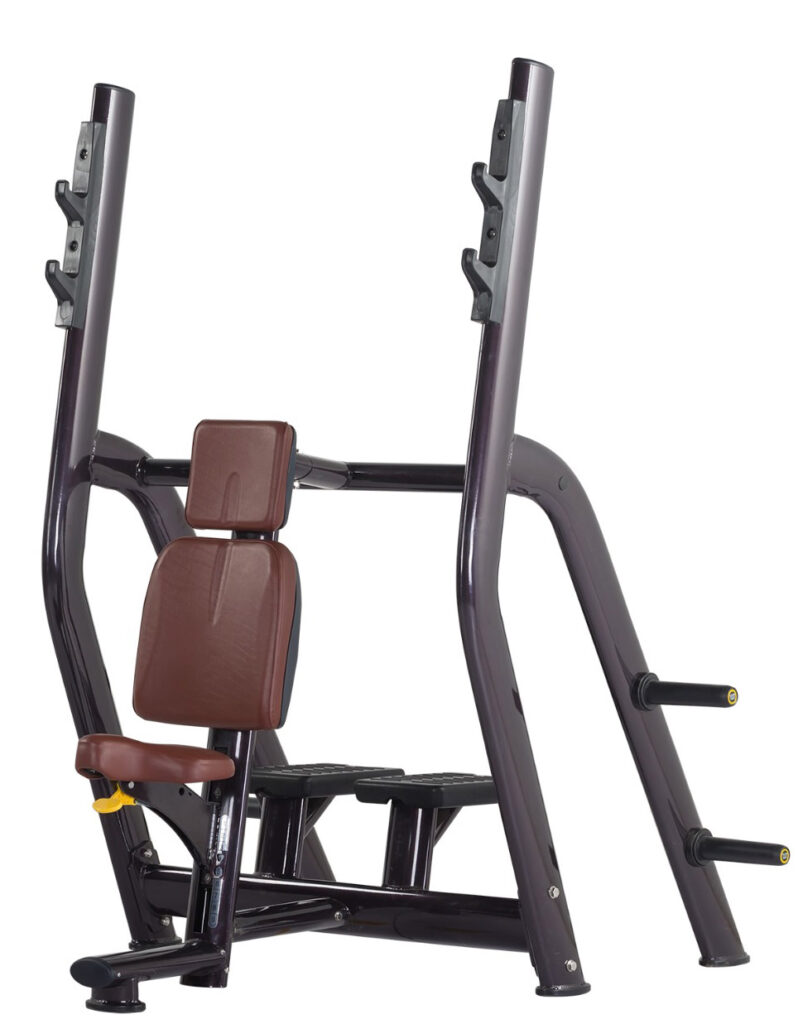 VG Heavy Duty Luxury Vertical Bench Prof