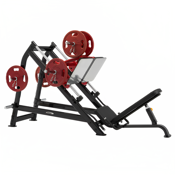 PLDP Supine Leg Press