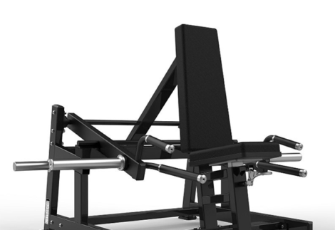 York Seated/standing shrug