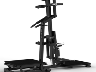 York standing lateral raise