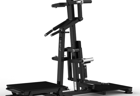 York standing lateral raise