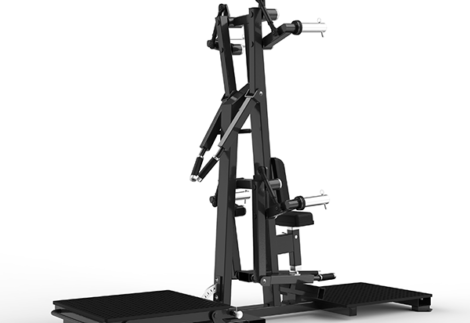 York lateral raise/rear deltoid