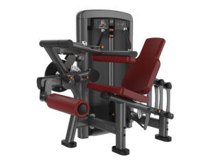 APEX Commercial  2 IN 1 Leg curl & Leg extension