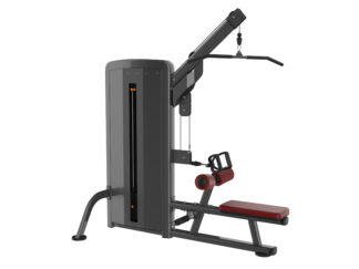 APEX Commercial 2 IN 1 Lat Pulldow & Low Row