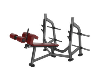 APEX Commercial Olympic decline bench