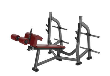 APEX Commercial Olympic decline bench