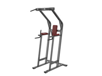 APEX Commercial 2 IN 1 Vertical
Kness Up & Dip