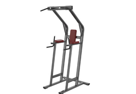 APEX Commercial 2 IN 1 Vertical
Kness Up & Dip