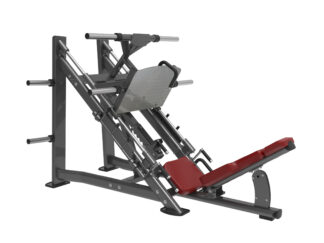 APEX Commercial Leg press