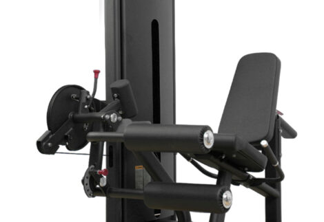 Insight Fitness Leg Curl/Extension