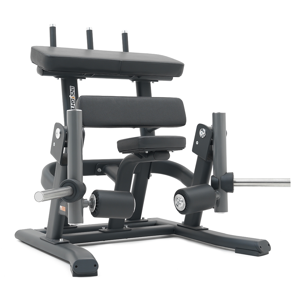 Insight Fitness Standing Leg Curl