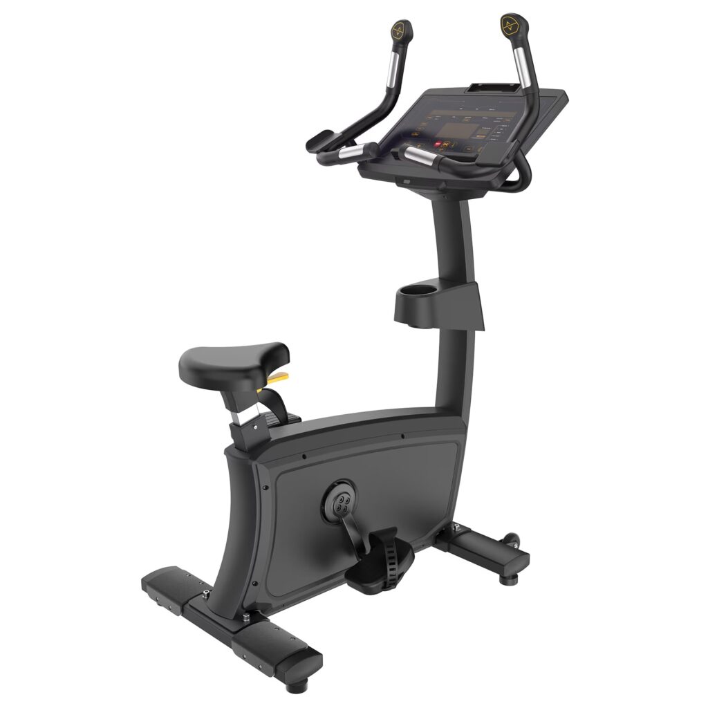Insight Fitness Commercial Upright Bike