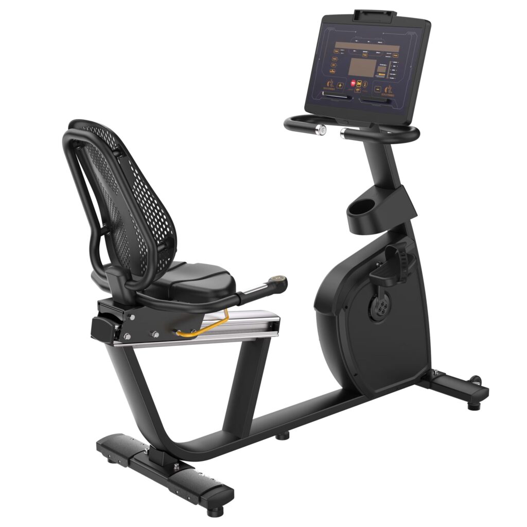 Insight Fitness  Recumbent Bike