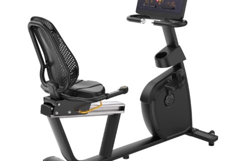 Insight Fitness  Recumbent Bike