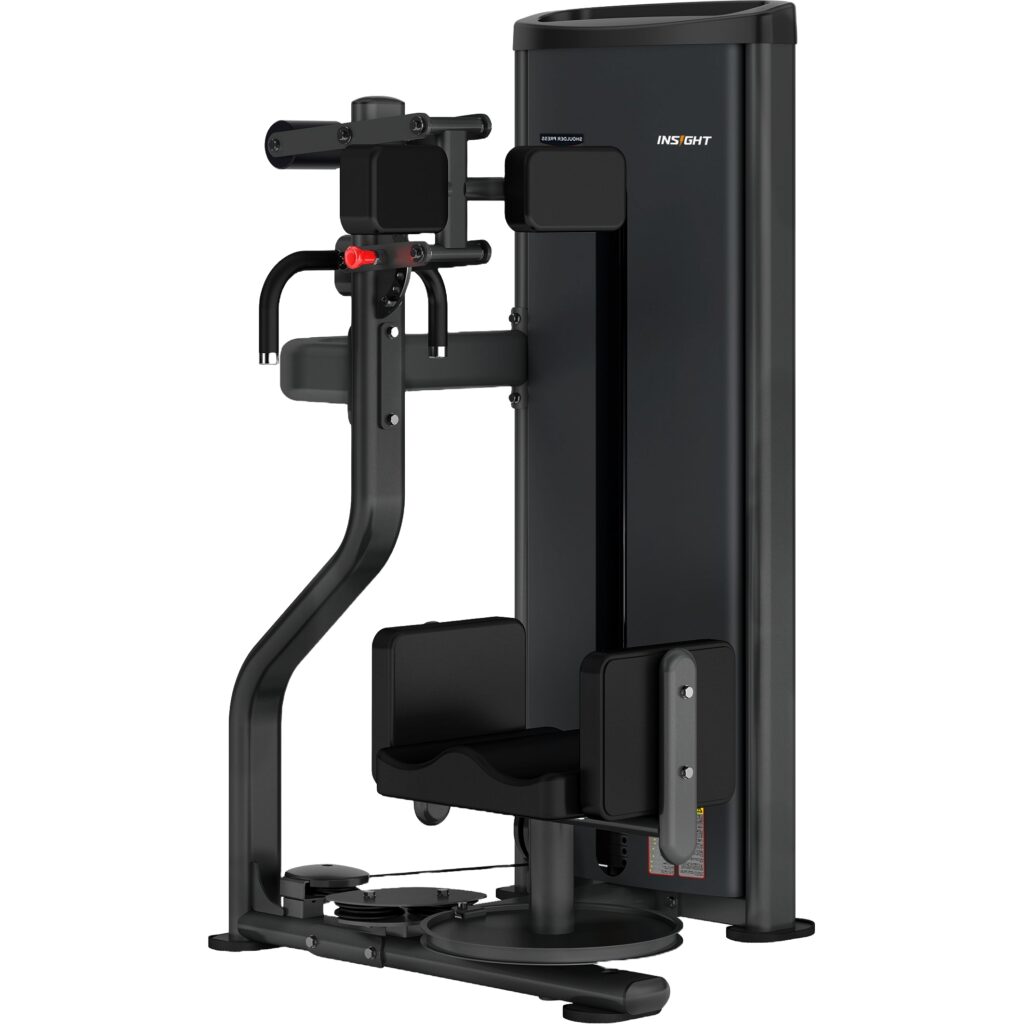 Insight Fitness  Rotary Torso