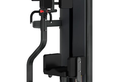 Insight Fitness  Rotary Torso
