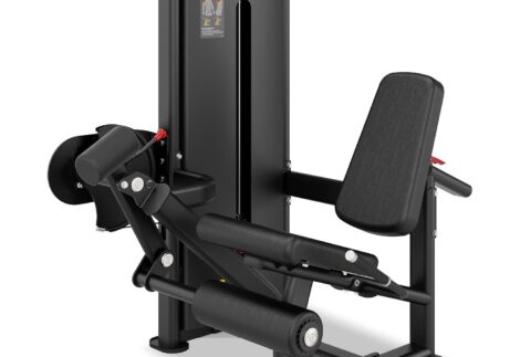 Insight Fitness Leg Extension