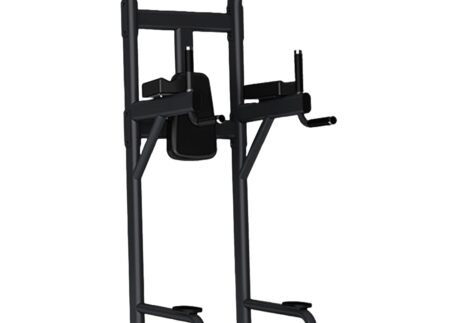 Insight Fitness Vertical Knee Raise/Dip