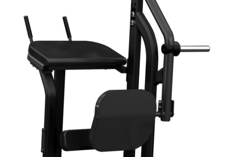 Insight Fitness Rear Kick
