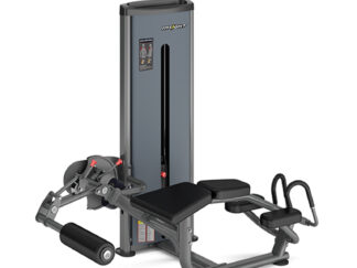 Insight Fitness Leg Curl