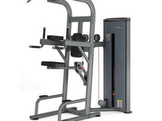 Insight Fitness Easy Chin/Dip