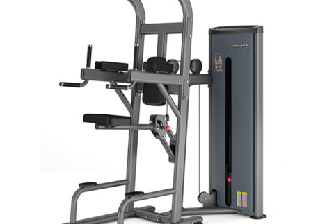 Insight Fitness Easy Chin/Dip