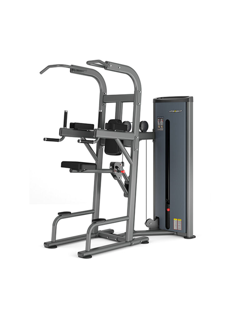 Insight Fitness Easy Chin / Dip