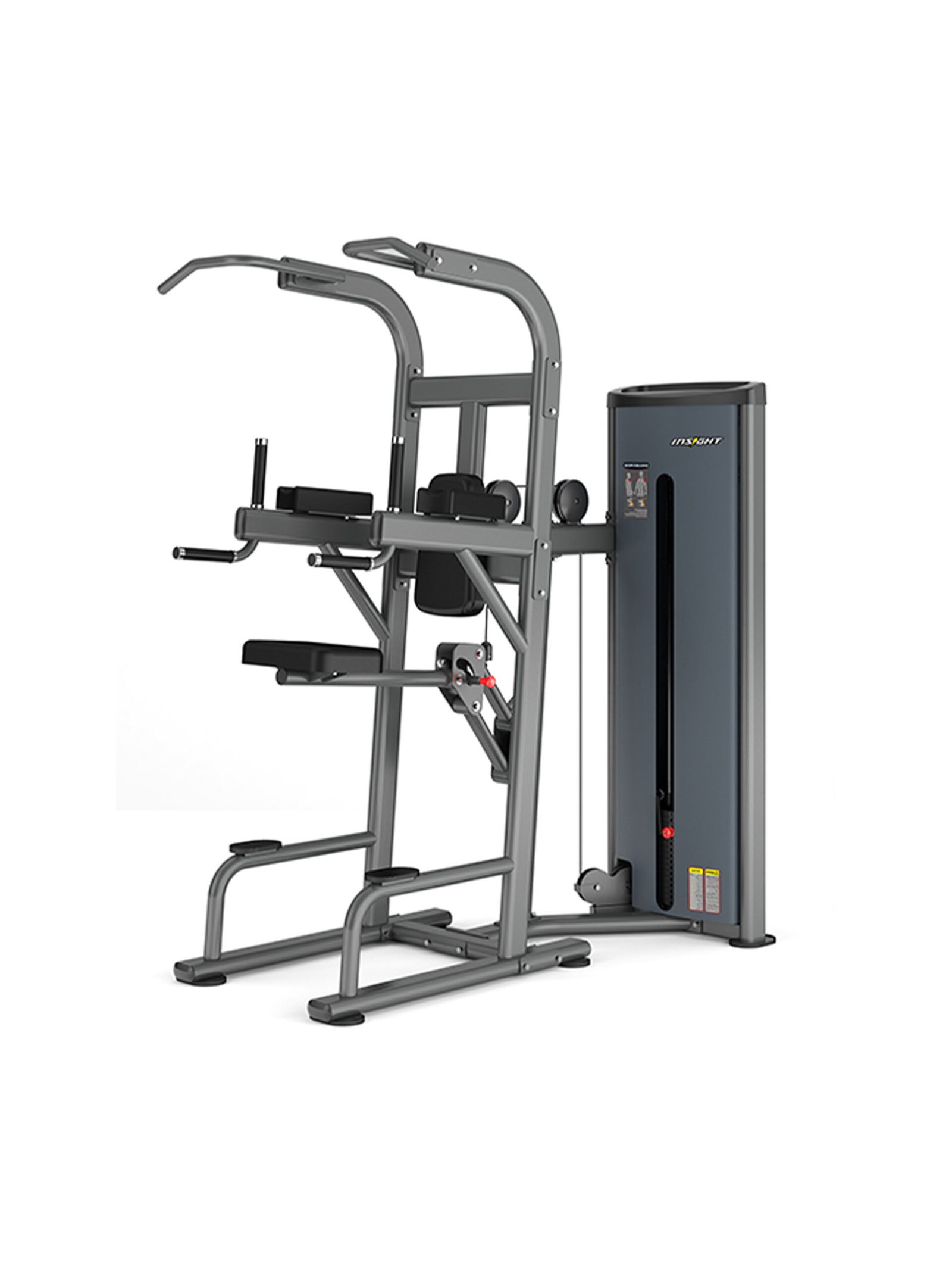 Insight Fitness Easy Chin/Dip