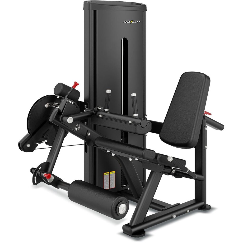 Insight Fitness Leg Curl / Leg Extension