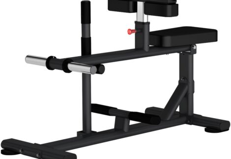 Insight Fitness Seated Calf Raise