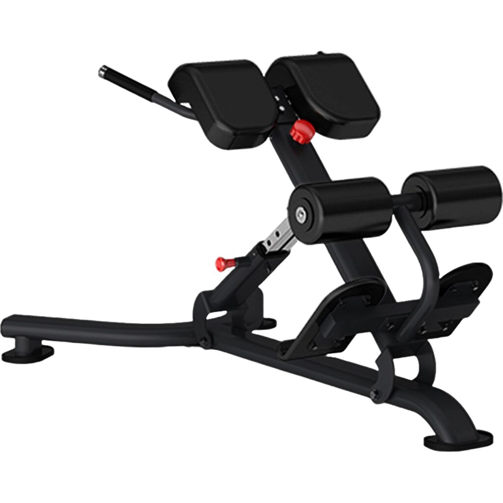 Insight Fitness  Back Extension