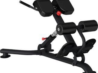 Insight Fitness  Back Extension